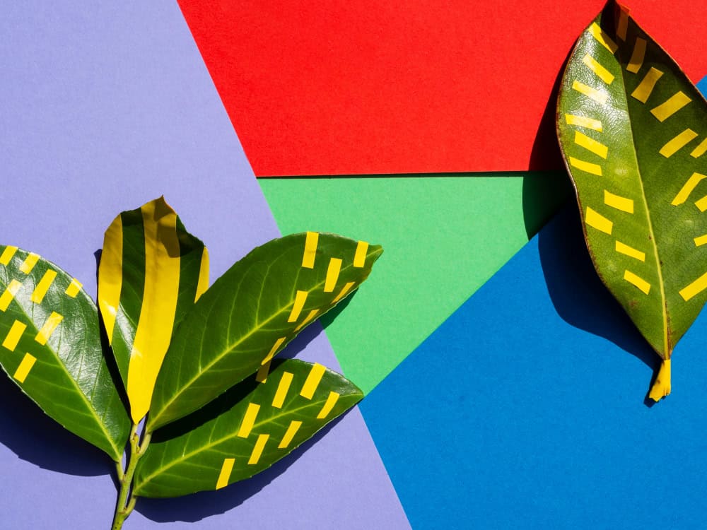 Combining Colors and Patterns for Impact