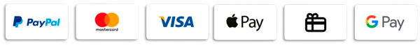 Secure payment options including Visa, Mastercard, and Apple Pay for worldwide fine art shipping to New York and London.