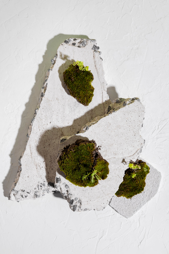 Sustainable Brutalism